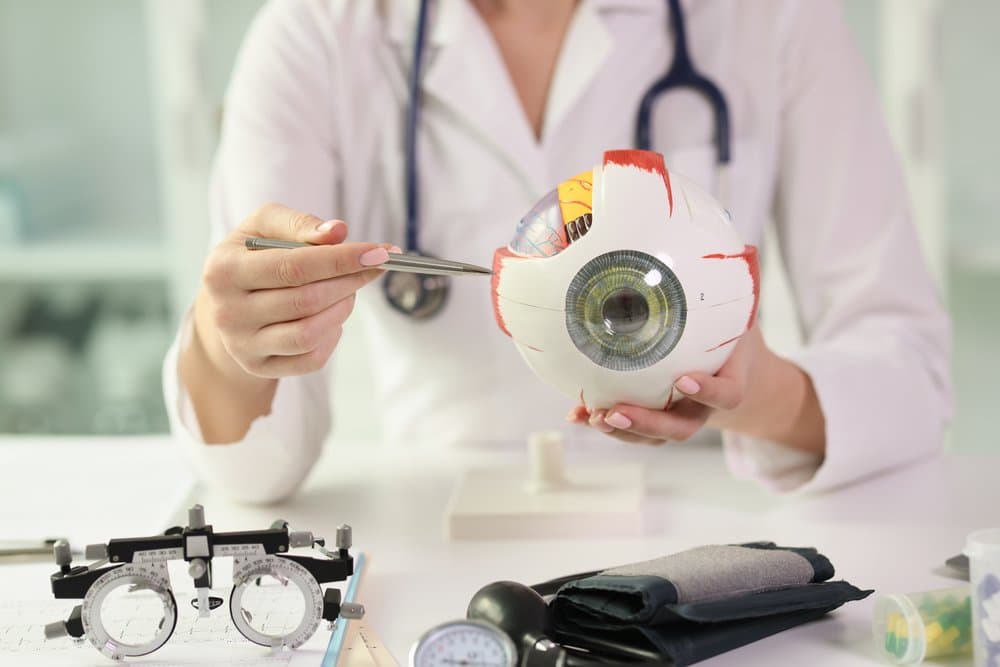 anatomi mata manusia