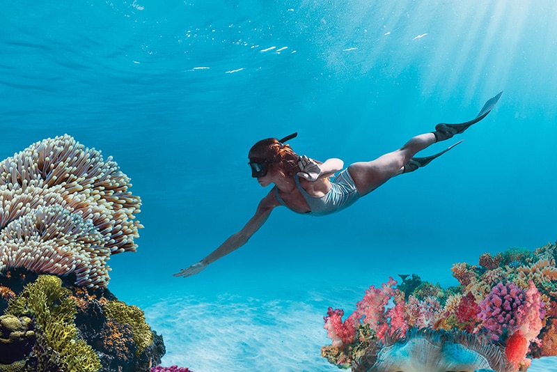 evo icl picture 24 evo icl